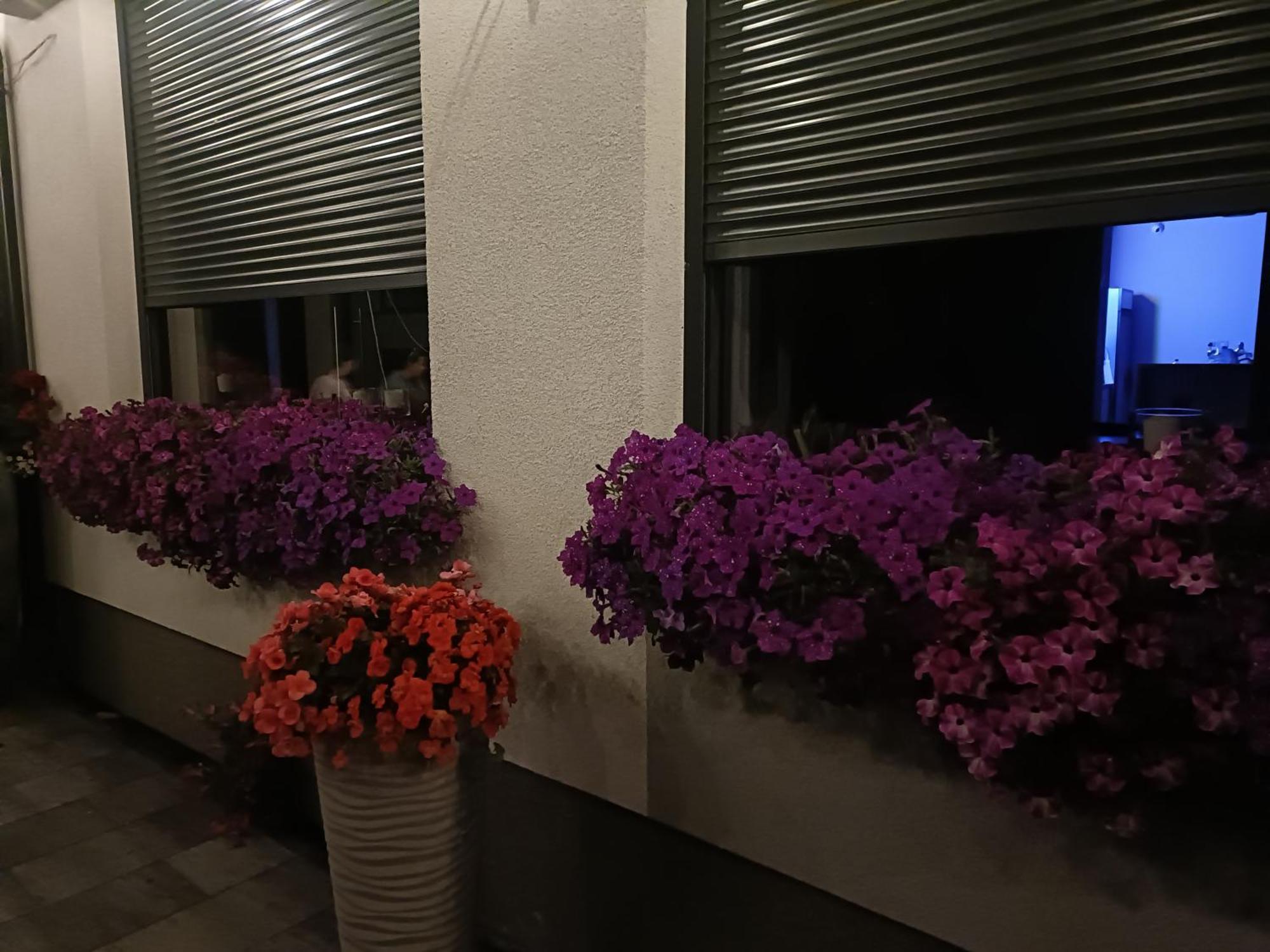 Lesne Niebo Lubniewice Exterior foto